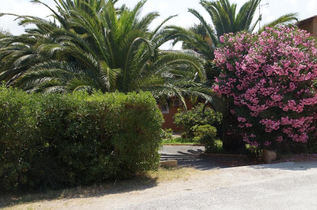 Residence Les Castors Calvi  Luaran gambar