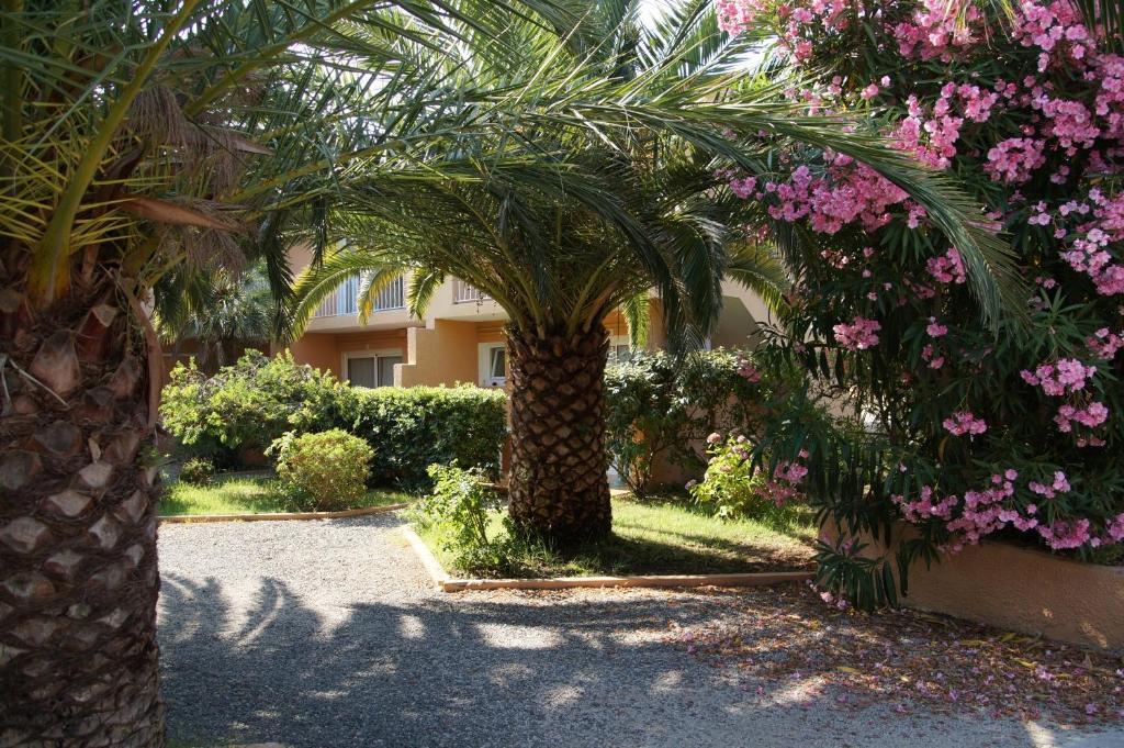 Residence Les Castors Calvi  Luaran gambar